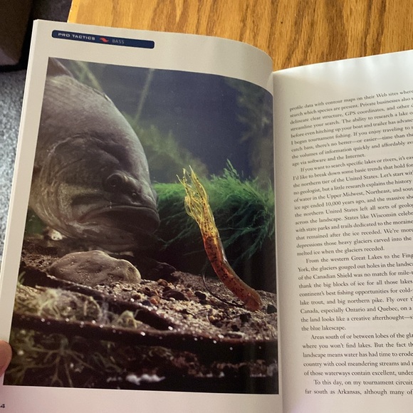 BASS Catch More and Bigger Bass using the pros’ tournament secret HB BOOK - Picture 8 of 11